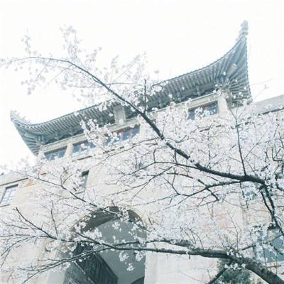 黄锦前：深化汉字文明研究 建设中华民族现代文明